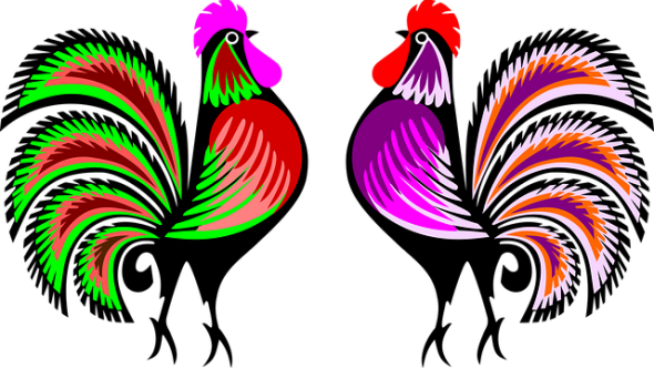 Roosters-pixa - Ludowa Lista Przebojów Radio Koszalin (590x332), Png Download