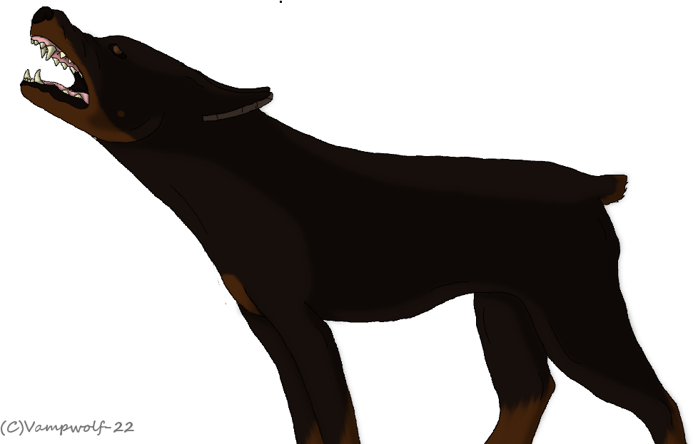 Angry Doberman By Vampwolf 22-d5s3bdk - Dog (996x634), Png Download