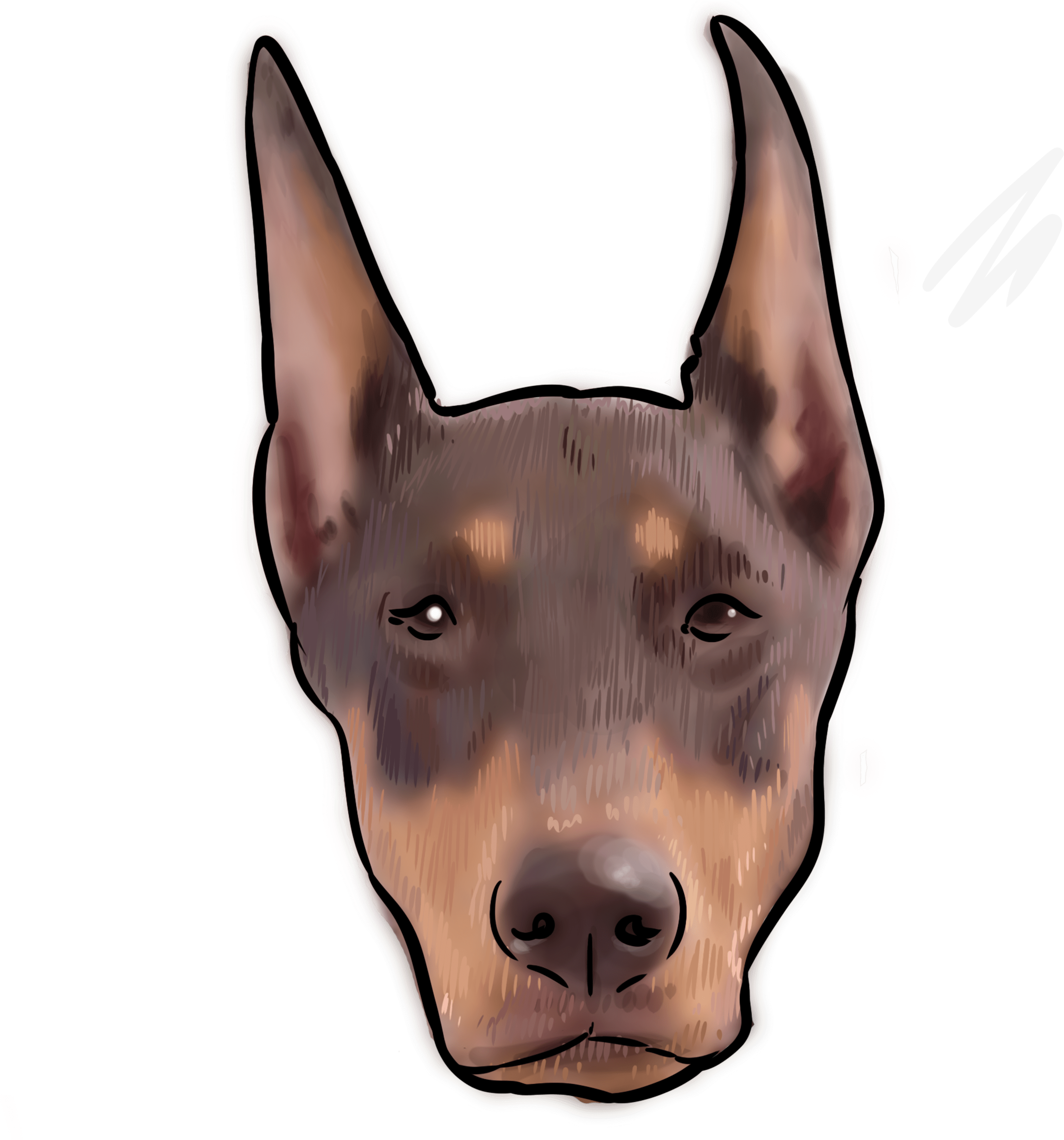 56 Why Are You A Doberman Pinscher - Dobermann (3000x3000), Png Download