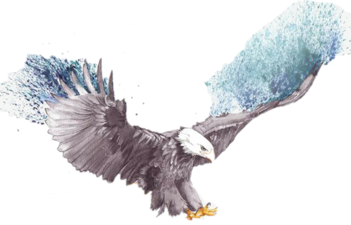 Flying Eagle Eagle Sketch (718x460), Png Download