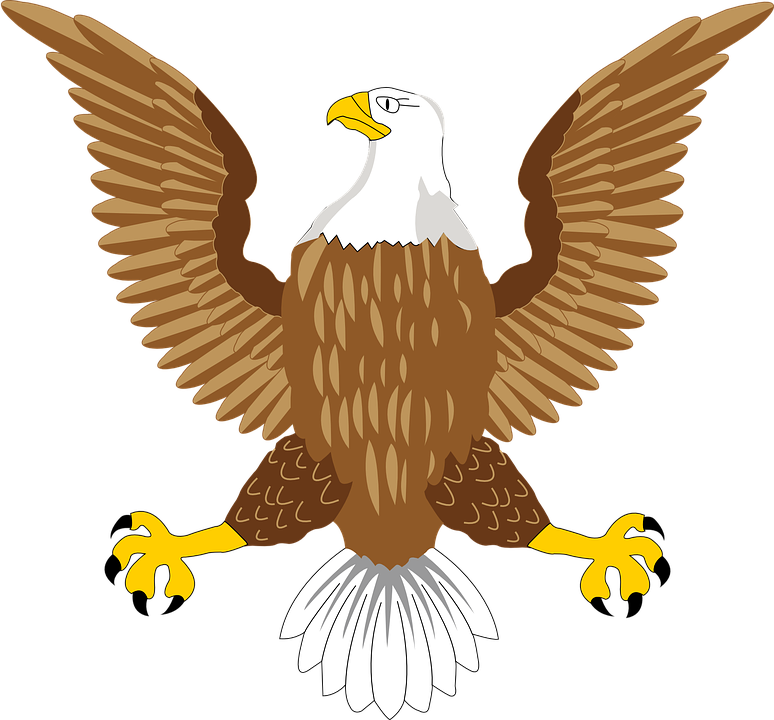 Bald Eagle Clipart Png - Bald Eagle Symbol (774x720), Png Download