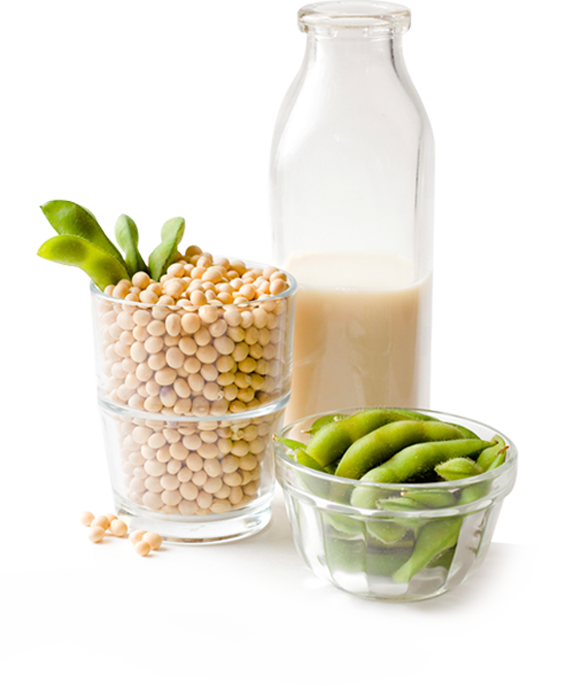 Beso Bio Research, Inc - Fermentation (573x686), Png Download