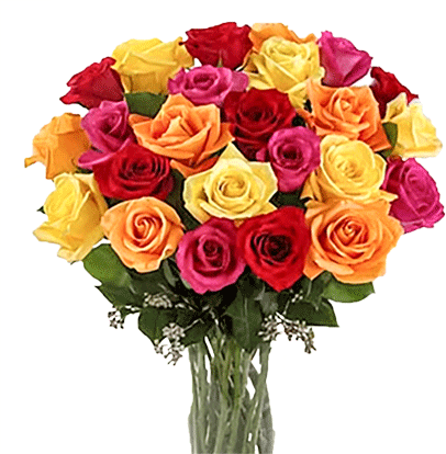 Best Wishes - Red Yellow And Pink Roses (406x414), Png Download