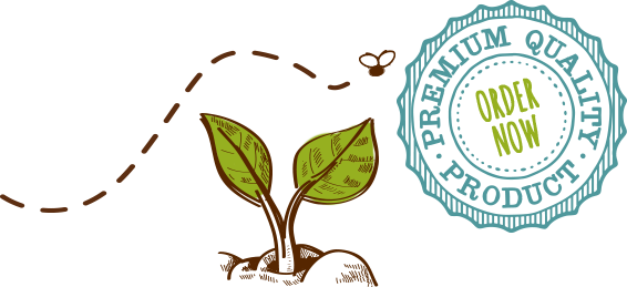 Home Order Now - Cumberlows (566x259), Png Download