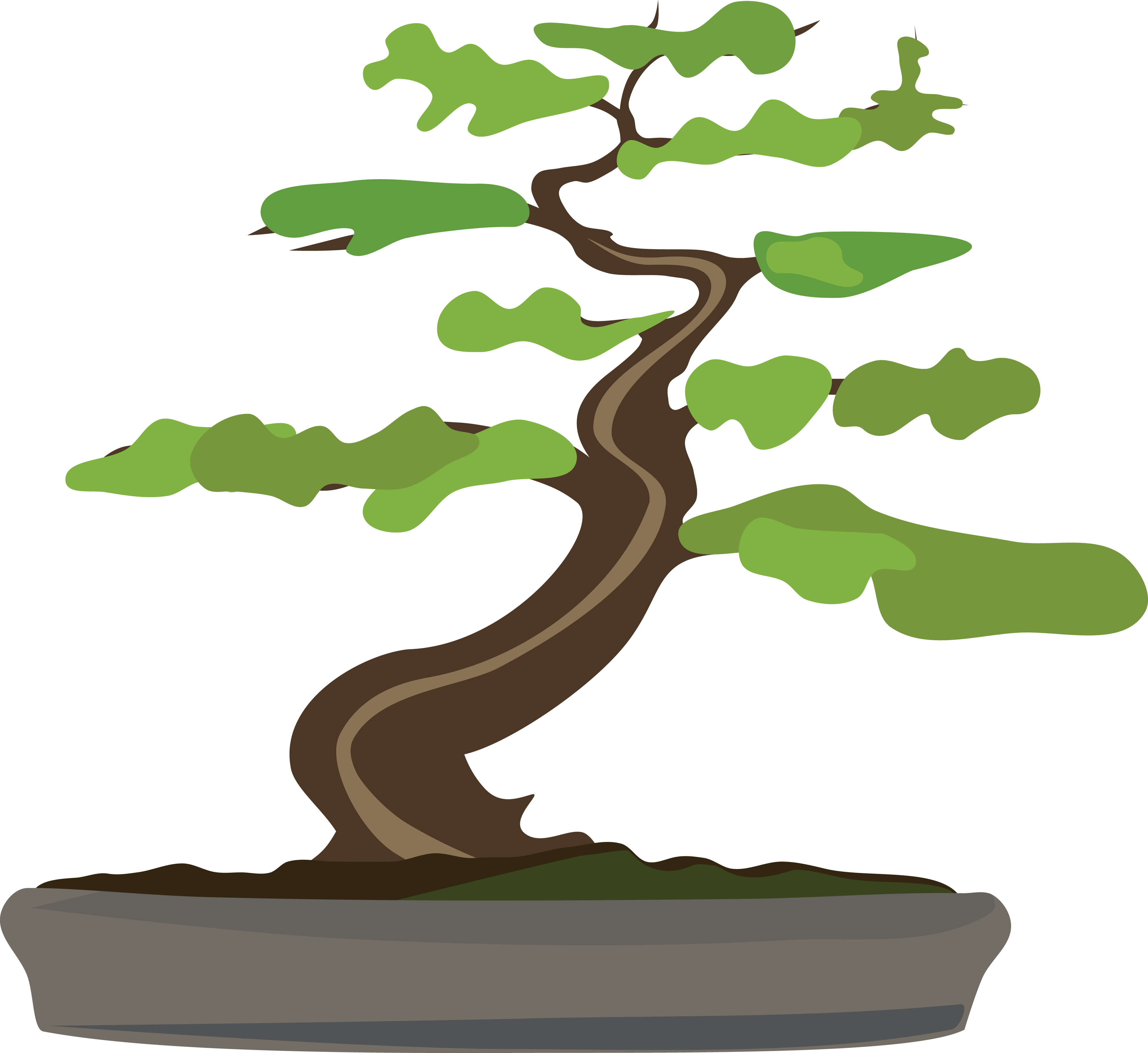 Free Clipart Of A Bonsai Tree - Bonsai Tree Clipart Transparent (4000x3668), Png Download