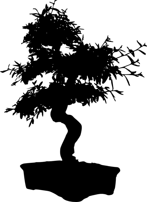 Free Png Bonsai Silhouette Png Images Transparent - Bonsai Blanco Y Negro (480x661), Png Download