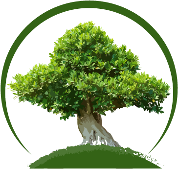 Transparent Tree - Sageretia Theezans (430x408), Png Download