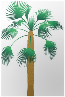 Borassus Flabellifer (400x400), Png Download