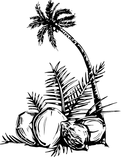 Coconut Tree Art Png (462x598), Png Download
