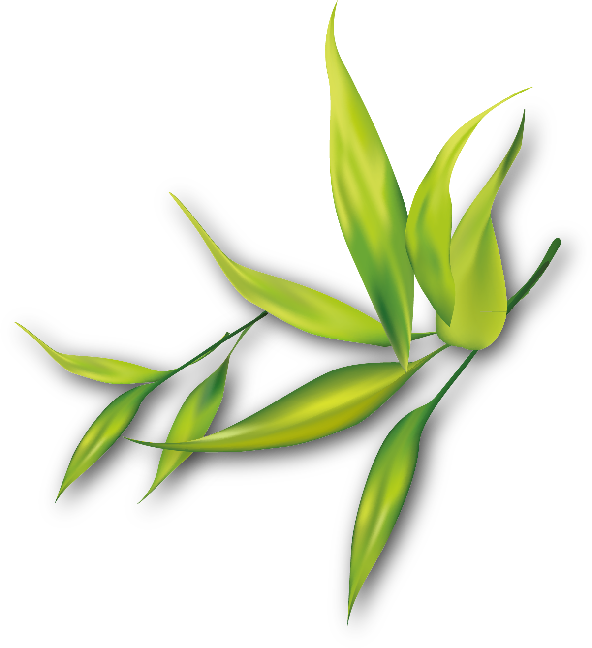 Painting Clip Art Transprent Png Free - Flower Border For Bulletin Board (1238x1346), Png Download