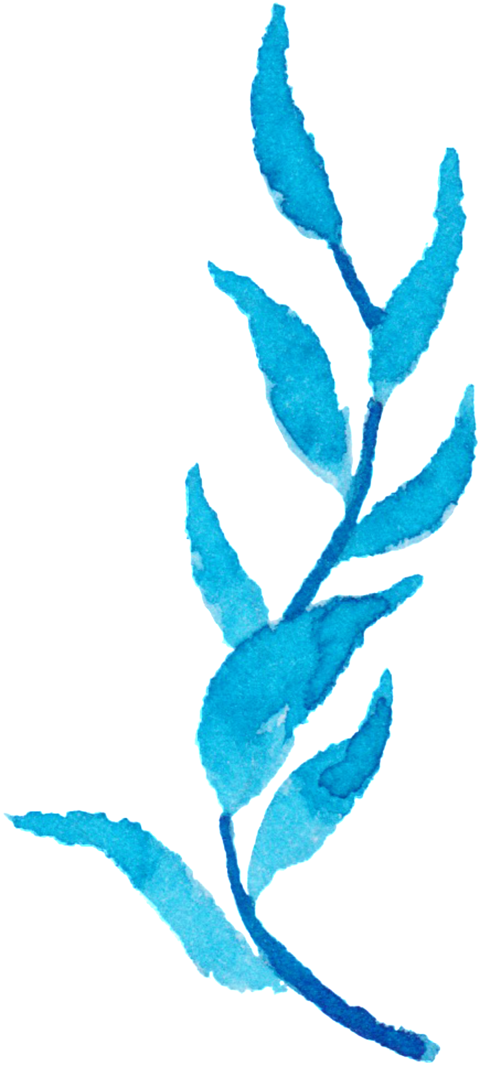 Blue Water Grass Watercolor Hand-painted Flower Decoration - Watercolor Painting (1024x2180), Png Download