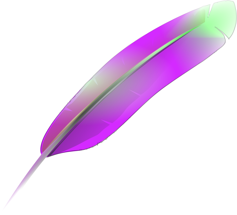 Feather Vector Png Download (900x817), Png Download