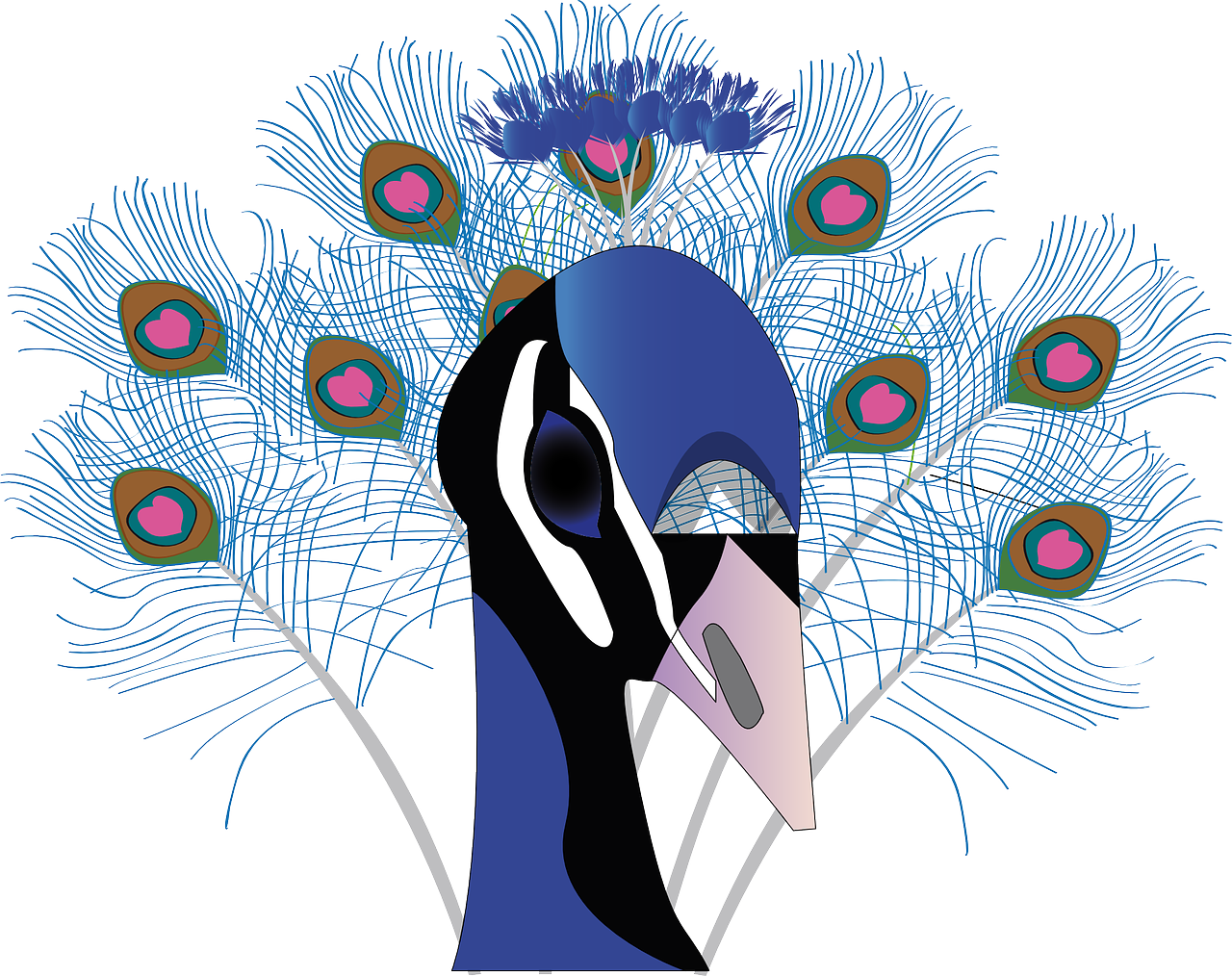 Vector Graphics,free Pictures - Blue Peacock Shower Curtain (1280x1014), Png Download