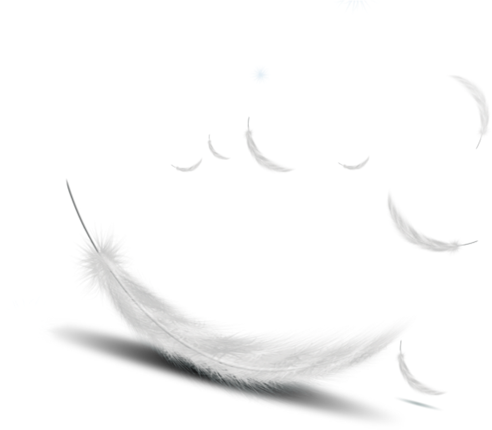 Featherwhite Vector - Beefone || Redmi Note4|| Branded Perfect Fitting High (1164x1024), Png Download