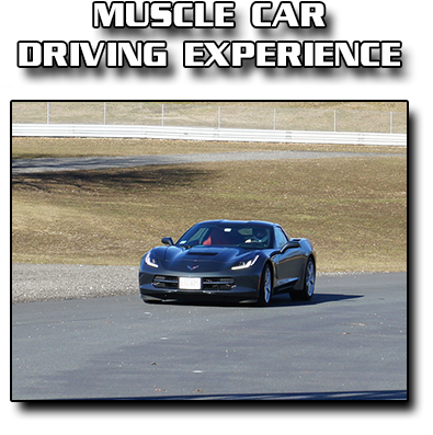 Muscle-car - Supercar (400x422), Png Download