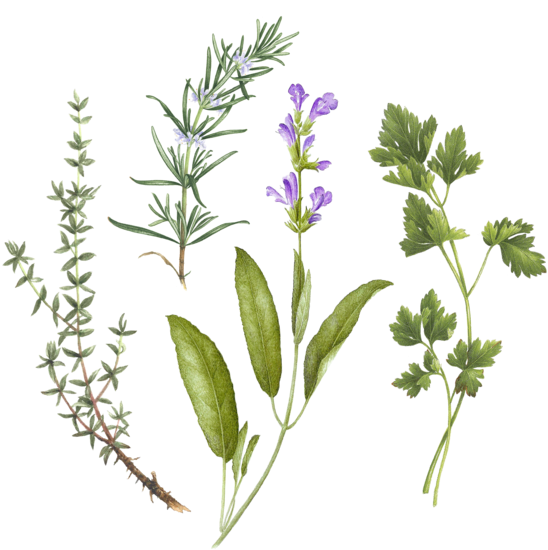 Bouquet Garni Set - Bouquet Garni (690x690), Png Download
