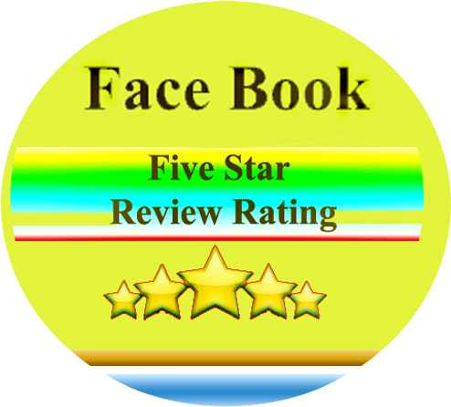 Facebook 5 Star Rating Ping - Dresden (500x450), Png Download