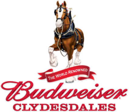 Budweiser Clydesdales Visit Put In Bay Aboard Miller - Tervis Budweiser Clydesdales 16oz Tumbler - Anheuser-busch (427x381), Png Download