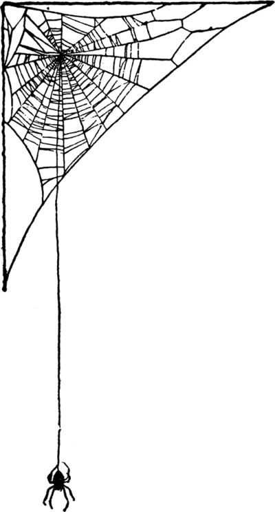 Download Spider Web Art Pretty Png Spider Web Png Art Pretty - Spider ...