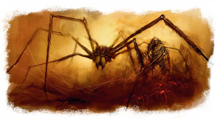 D&d Tomb Spider (866x474), Png Download