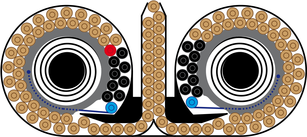 Drum Magazine (1200x544), Png Download