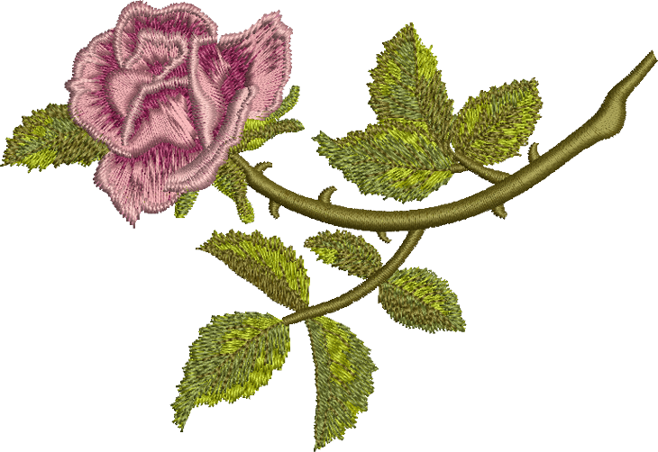 Png Image Information - Floral Embroidery Png (730x502), Png Download
