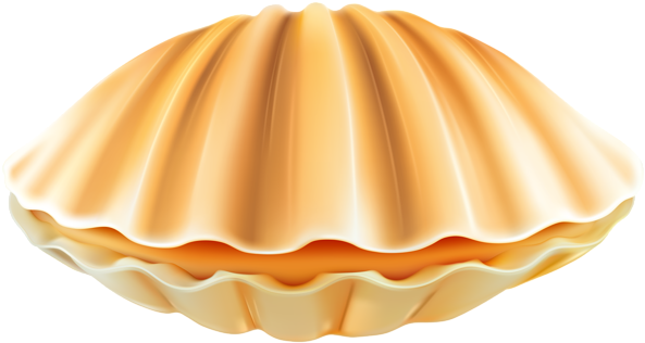 Shell Png Clip Art - Clam Png (600x320), Png Download