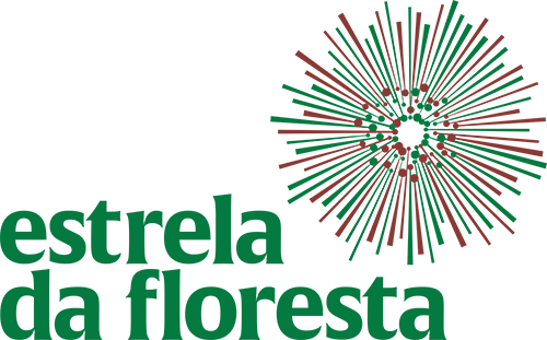 About - Projects - Estrela Da Floresta Angola (500x311), Png Download