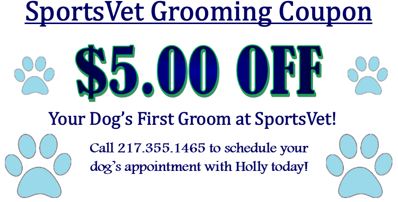 Coupon2 - Sportsvet Animal Medical Center (916x423), Png Download