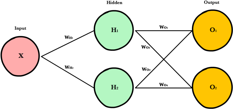 Images/neural Network W Matrices - Diagram (800x402), Png Download