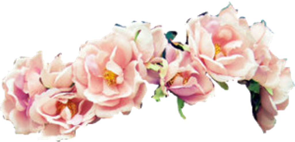 My Fave Flower Crown Owo Pink Flowers Flowercrown Flowe - Flower Head Dress Png (1024x1024), Png Download