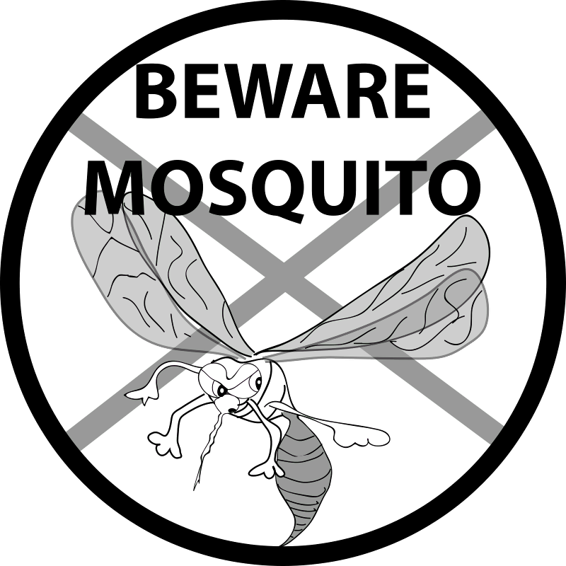 Chikungunya Black And White (800x800), Png Download