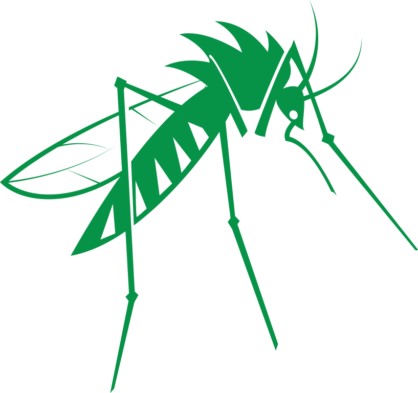 Mosquito - Mosquitoes Png (817x768), Png Download