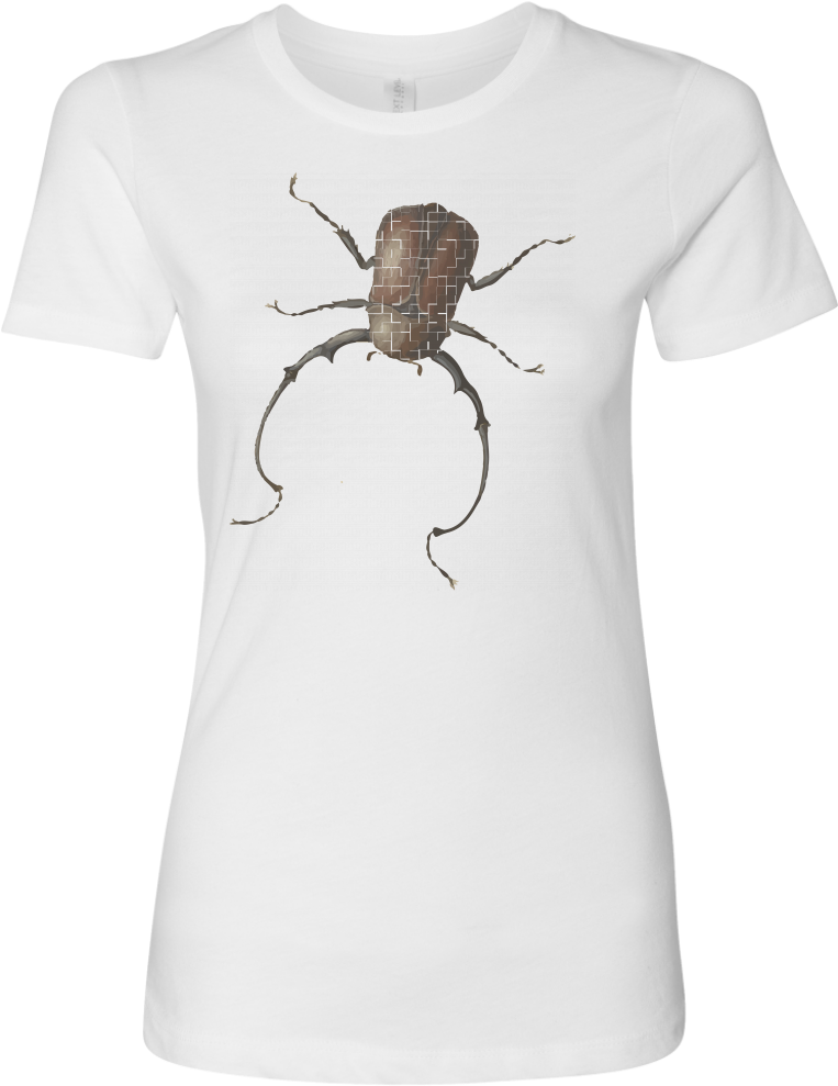 Long Horned Beetle T-shirt - Four Beetles And A Flying Stink Bug (1024x1024), Png Download