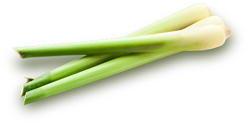 Lemongrass Egypt - Essential Oil (500x290), Png Download
