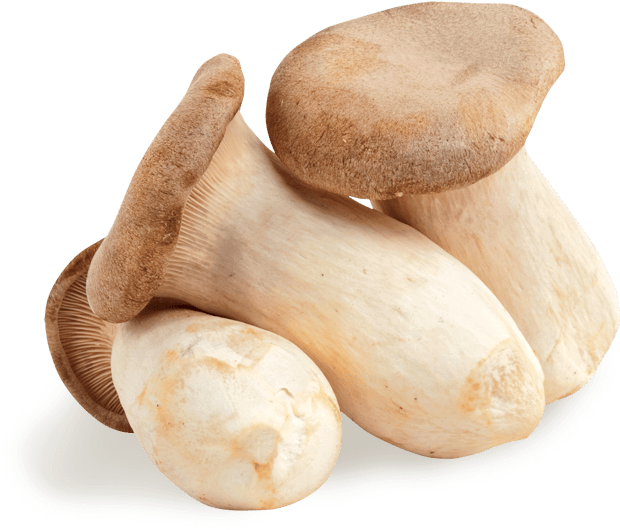 Pleurotus Eryngii (860x579), Png Download