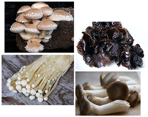 Mushroom (600x465), Png Download