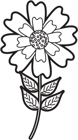 Stock Flower Natural Petal Decoration - Flower (550x550), Png Download