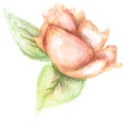 Vegetaux Aquarelle Fleur Rose Orange - Garden Roses (413x407), Png Download
