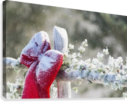 Fresh Snow On Holiday Bow And Decorations On Fence - Printscapes Wall Art: 36" X 24" Canvas Print With Black (429x344), Png Download