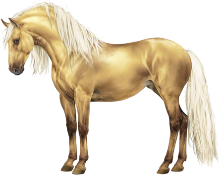 Aureola [83 - 35] - Horse (600x450), Png Download