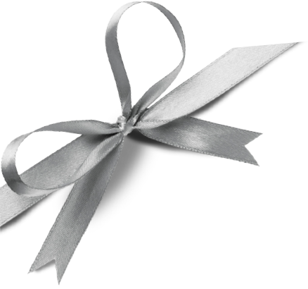 Holiday Gift Guide - Silver Gift Ribbon Png (438x410), Png Download