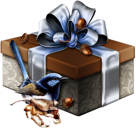 Bow Clipart, Site Russe, Ribbon Bows, Happy Birthday - Transparent Christmas Silver Gift (500x465), Png Download