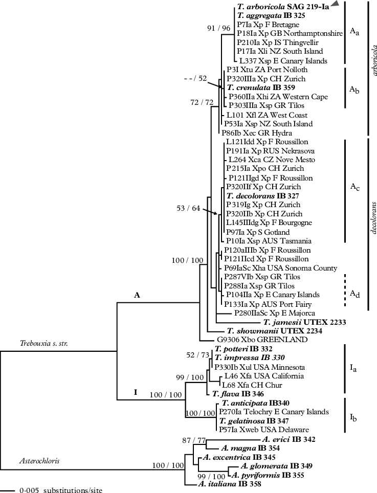 Ml Phylogram Of Rbcl Locus - Number (737x964), Png Download