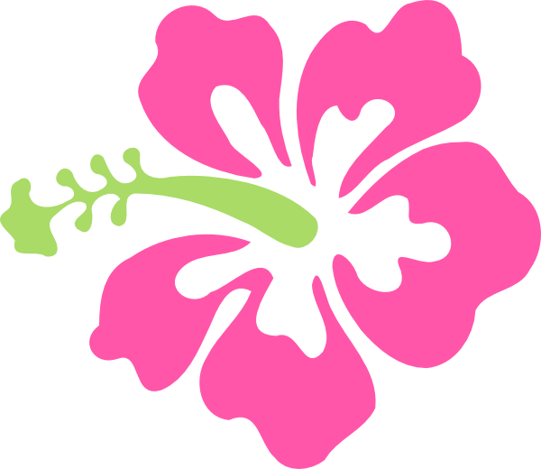 Hibiscus Clipart Green - Pink Hibiscus Flower Clipart (600x520), Png Download