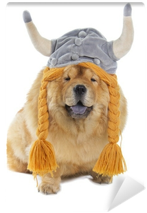 Dog (400x400), Png Download
