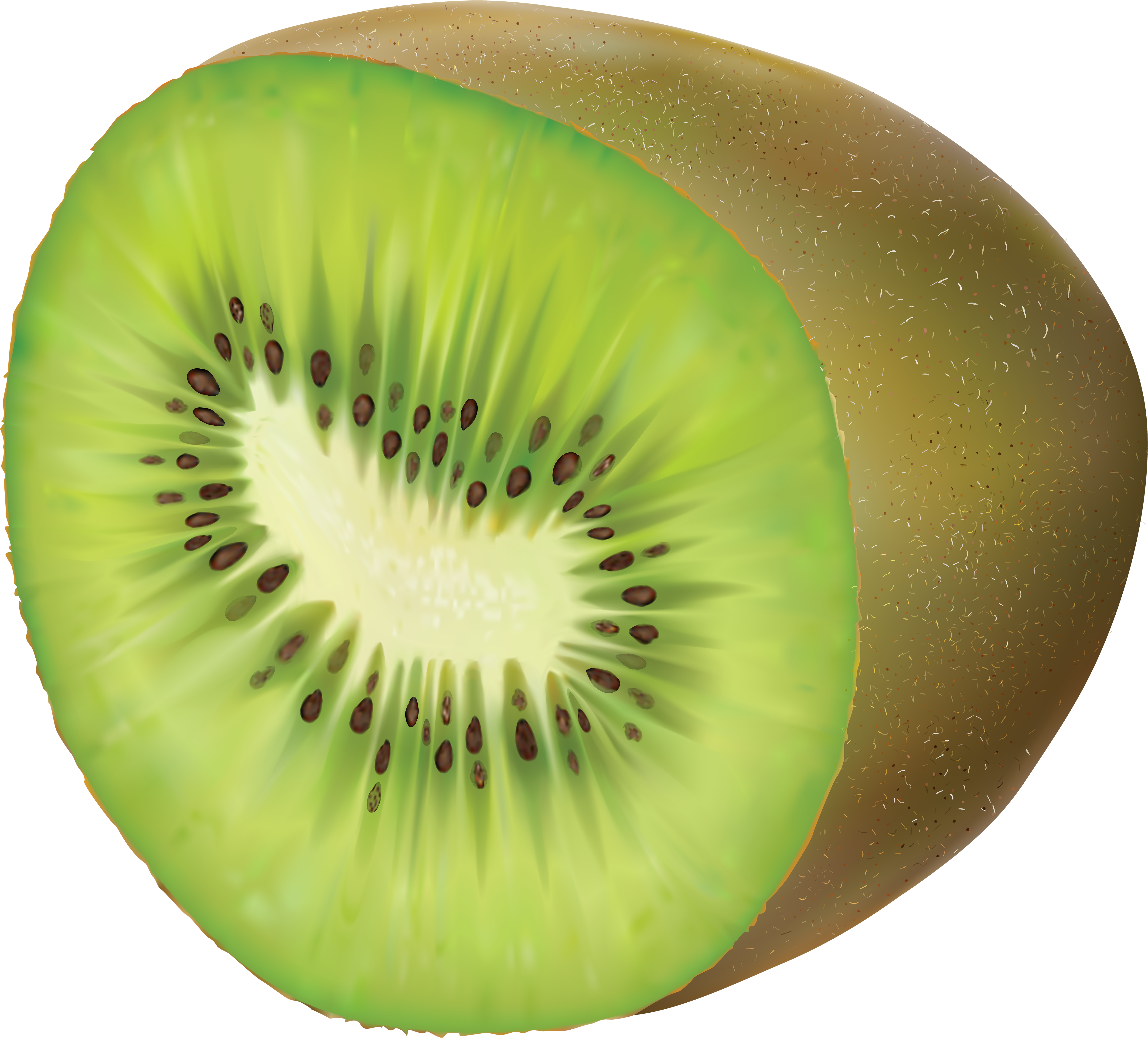 Clipart Royalty Free Download Transparent Png Clip - Clip Art (5000x4523), Png Download