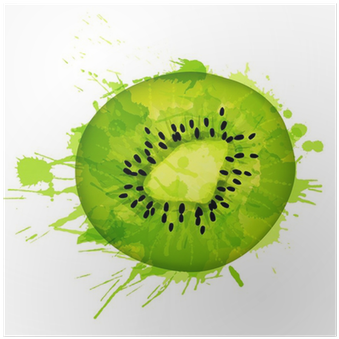 Kiwi Fruit Slice Made Of Colorful Splashes On White - Kiwifruit (400x400), Png Download