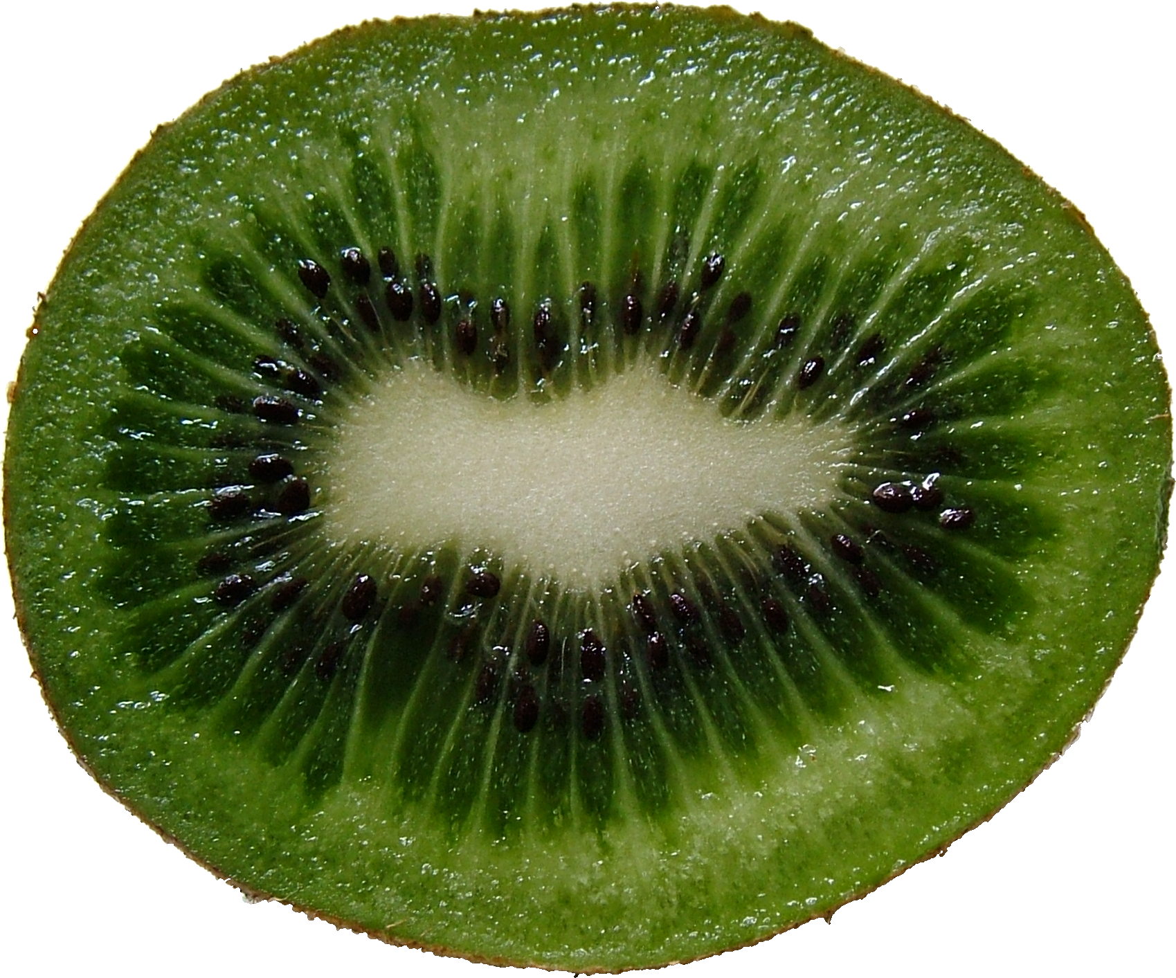 Green Cutted Kiwi Png Image - Kiwi Fruit Cross Section (1699x1413), Png Download