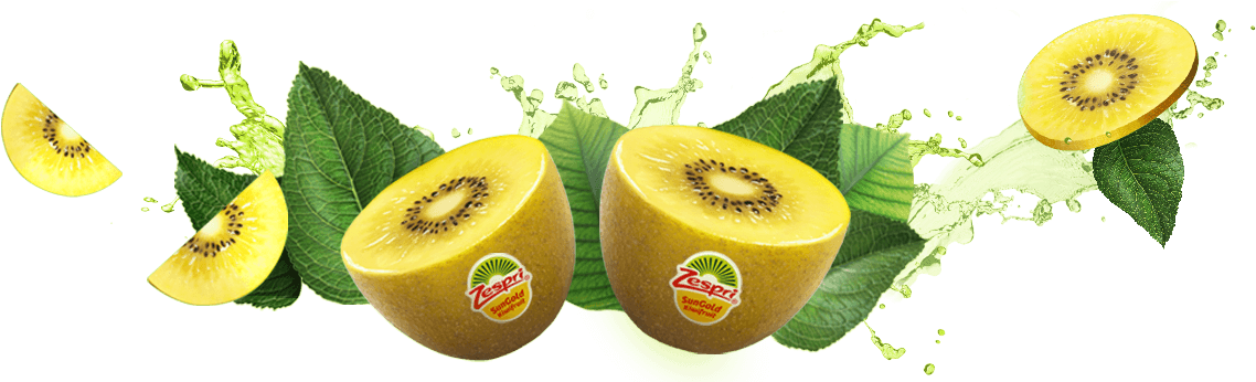 Feel Alive With Zespri Kiwifruit - Kiwi Zespri Png (1150x345), Png Download